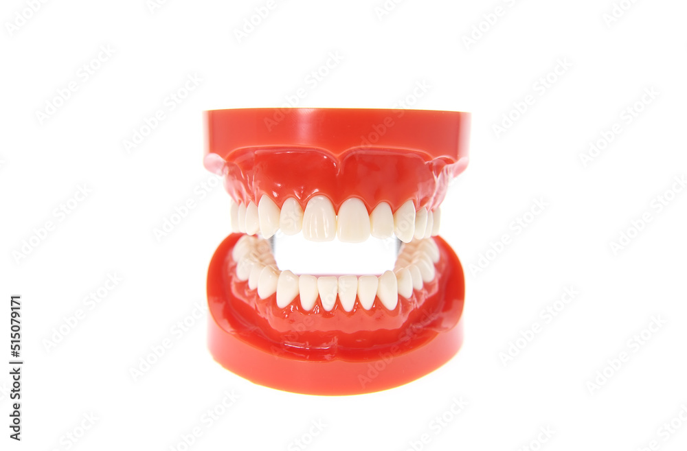Obraz premium Teeth or dentures isolated on white.