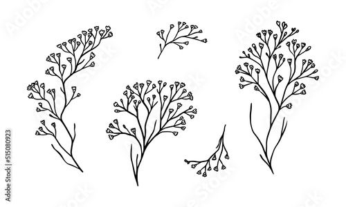 Limonium floral illustration for badges and logo. Stamp labels for tag with isolated limonium flower. Hand drawn natural for simple rustic design element.   photo