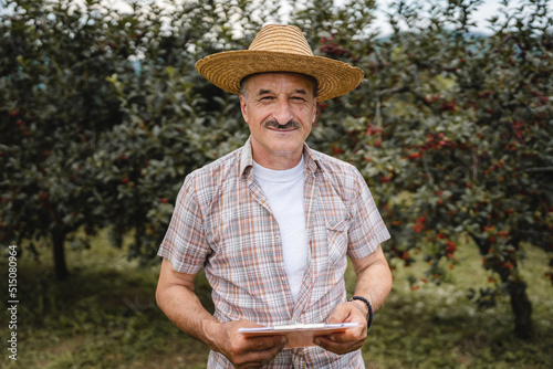 one man senor caucasian farmer wearing hat and shirt in sunny summer day checking sore cherry orchard plantation fruit quality front view real people agriculture organic production concept copy space
