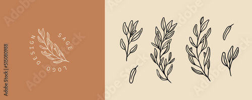Set of sage plant illustration and badges logo template. Minimalist Stamp labels for tag with isolated common sage leaves. Hand drawn natural sign for tag product in simple rustic design.  