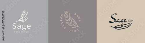 Sage plant badges and logo. minimalist branding labels for tag with isolated common sage  leaves. Vintage hand drawn natural sign for tag product in simple rustic design.