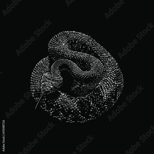Red Diamondback Rattlesnake hand drawing vector illustration isolated on black background