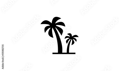 palm tree in a black vase