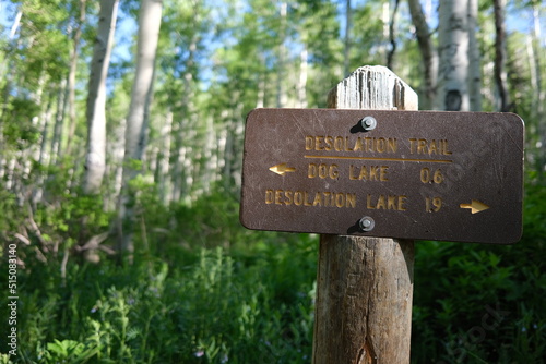 Fork in the Trail