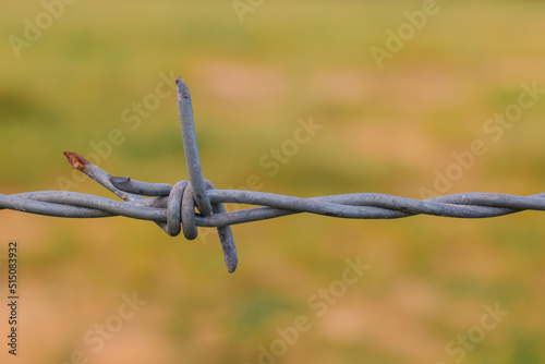 Barbed wire. Barbed wire on the fence. with a light green background