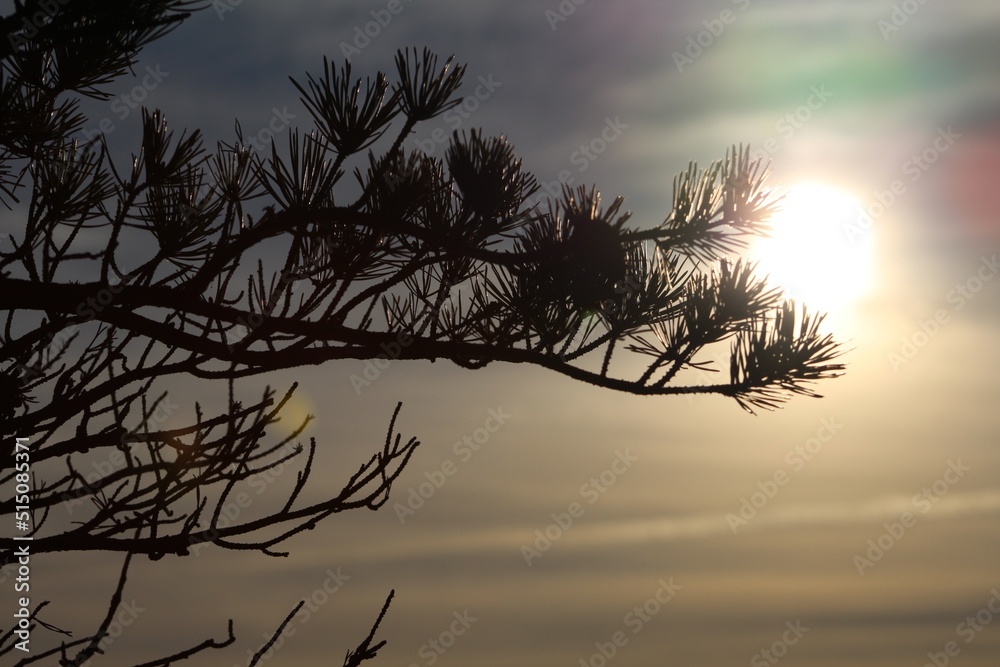 sunset on the mountains 