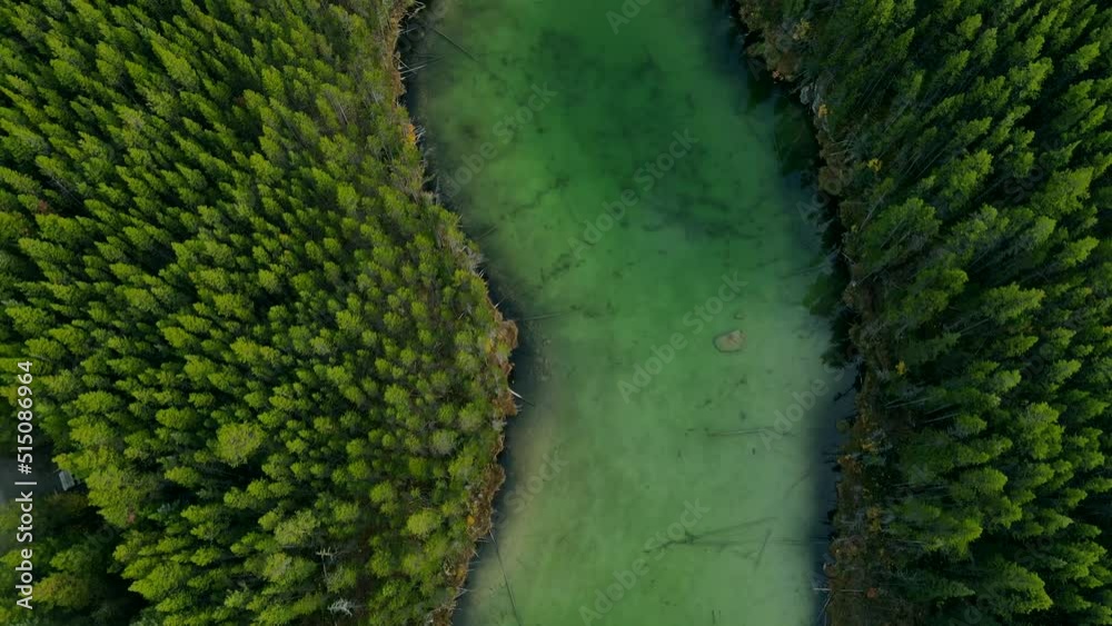 Vidéo Stock Scenic View of water in a mountain forest lake with pine ...