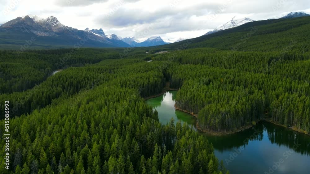 Scenic View of water in a mountain forest lake with pine trees. Aerial drone view of green lake and green forests in banff  national park. Crystal clear mountain lake between forest. 