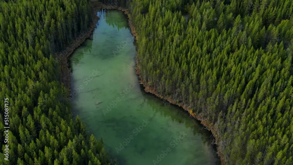 Vidéo Stock Scenic View of water in a mountain forest lake with pine ...