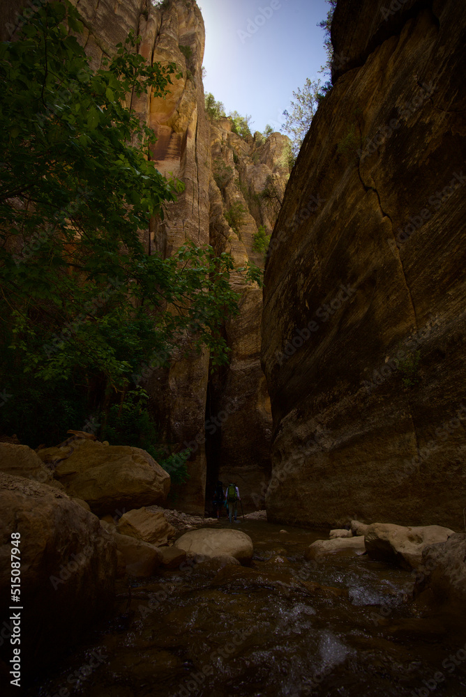 Obraz premium Zion The Narrows, First Narrows