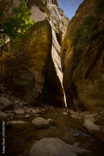 Zion The Narrows, First Narrows