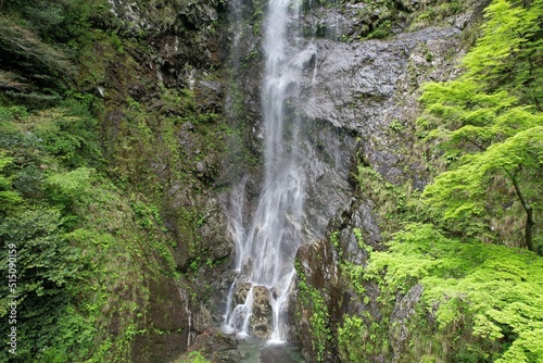 大樽の滝