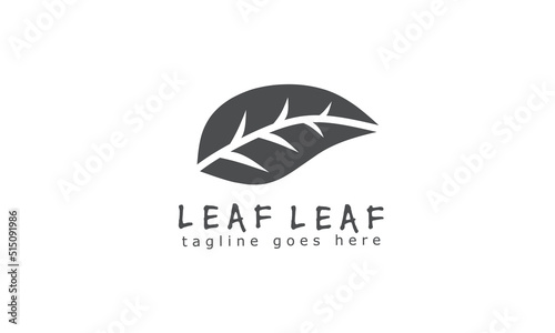 Leaf logo design template for brand or company