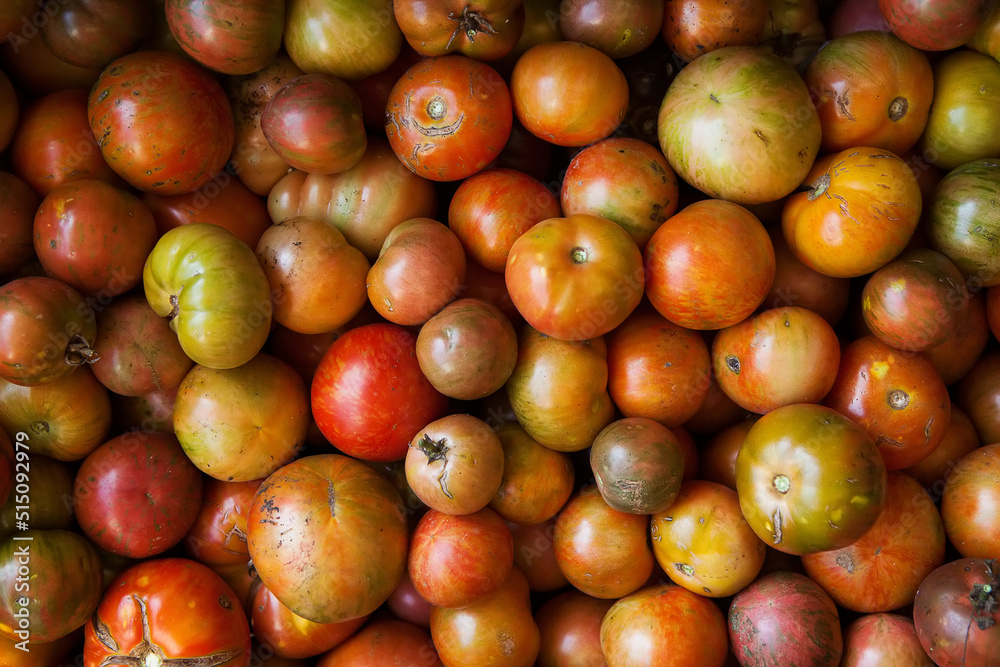 Crate of Multicolored Heirloom Tomatoes