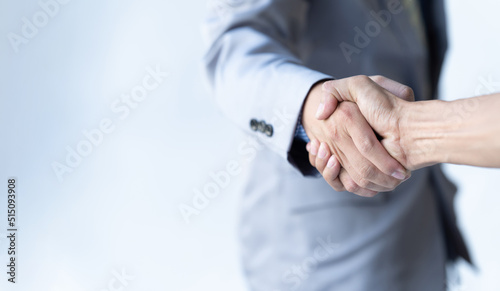 Canvas Print Business people shaking hands, finishing up meeting