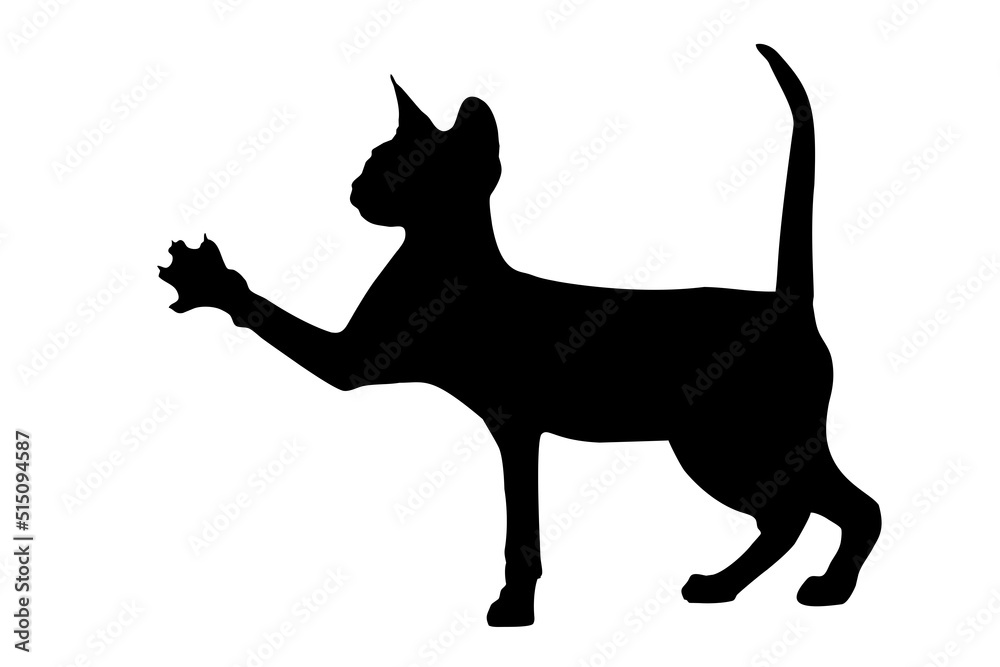black silhouette of a sphinx cat, on a white background