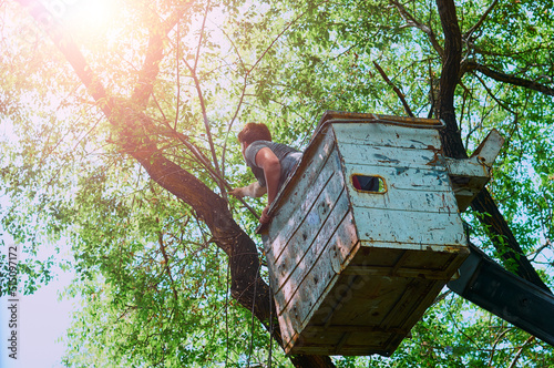 Sanitary pruning of trees. A worker with a chainsaw in a truck basket cuts branches. A wood surgeon in a lifting bucket cuts branches with a saw. Arborist removes tree branches at a height.Bottom view