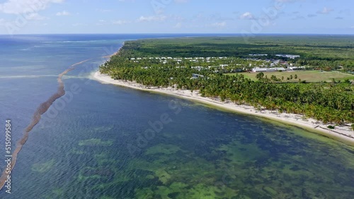 Wallpaper Mural Drone flying towards Cabeza de Toro beach and coast, Punta Cana in Dominican Republic. Aerial forward Torontodigital.ca