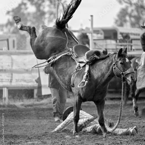 Εκτύπωση καμβά Saddle Bronco Riding At Country Rodeo