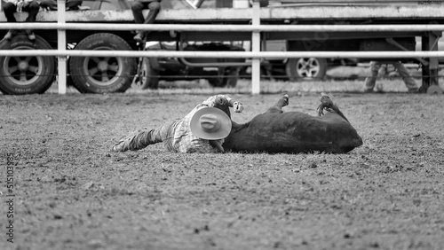 Cowboy Steer Wrestling At Country Rodeo