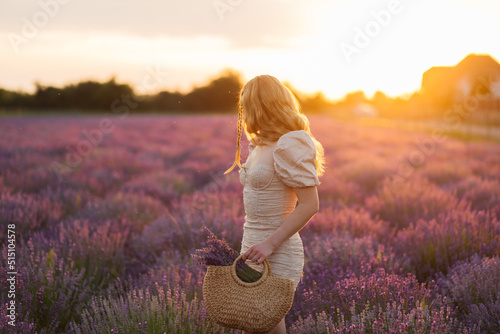 Fototapeta Naklejka Na Ścianę i Meble -  Girl in a lavender field. Woman in a field of lavender flowers at sunset in a white dress. France, Provence.