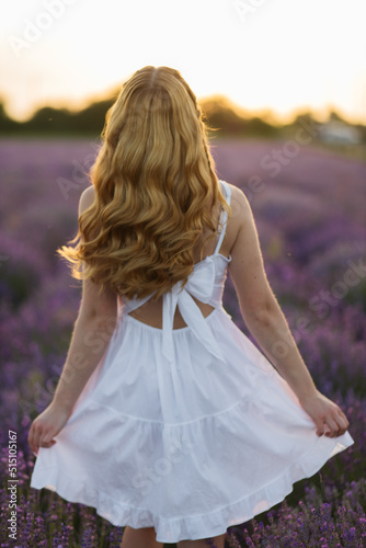 Girl in a lavender field. Woman in a field of lavender flowers at sunset in a white dress. France, Provence.