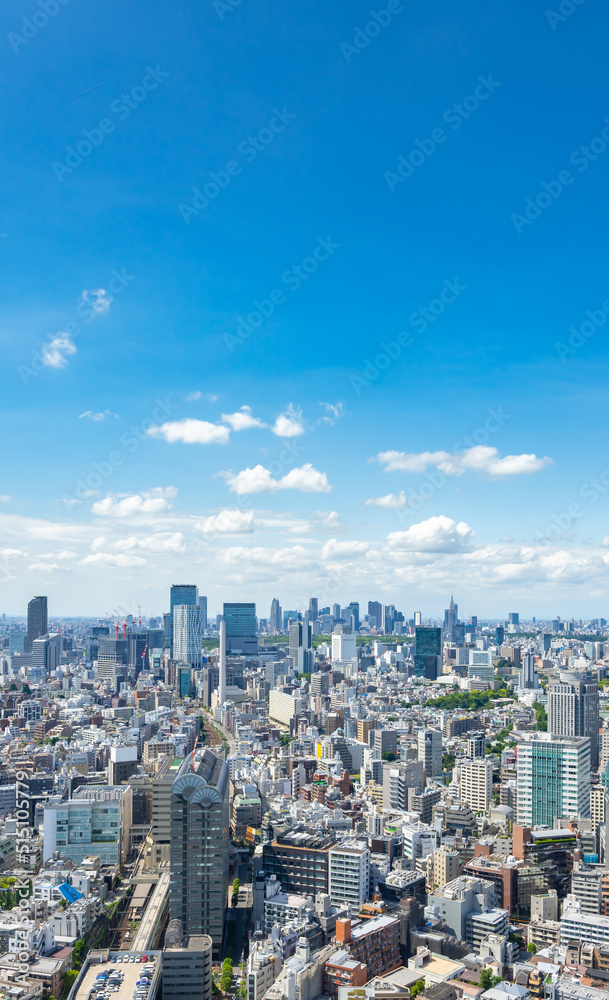 Naklejka premium 東京風景
