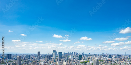 Obraz na płótnie 東京風景