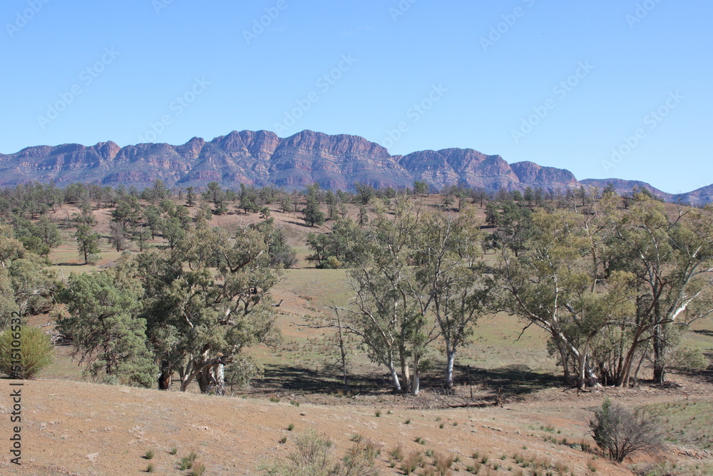 Scene in the Flinders Ranges, South Australia.