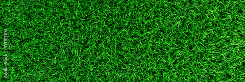 3D Green grass field banner background top view empty green backyard for sport game or garden decoration