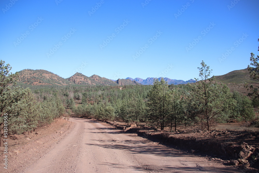 Dirt road through Bunyeroo Gorge in the Flinders Ranges, South Australia. Dirt road through Bunyeroo Gorge in the Flinders Ranges, South Australia.