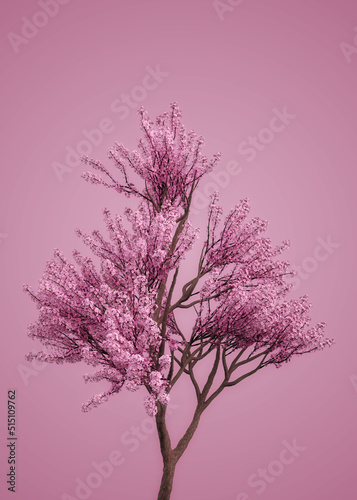 3D Sakura branches in pink © AnnaPa