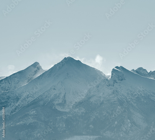 Winter mountains peak panorama. The landscape of a mountain covered with snow. Dramatic view of frozen mountain in Europe.