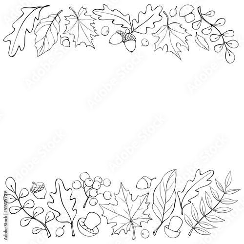 Autumn background with space and border of leaves, mushrooms, acorns, berries on edges. For invitation, ending, frame, children's print, or coloring. The theme is forest, happy fall, thanksgiving