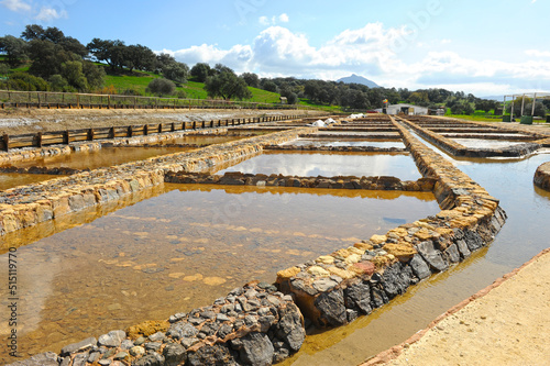 Balsas de decantación para producción de sal por evaporación en las salinas romanas de Iptuci. Prado del Rey, provincia de Cádiz Andalucía España.  photo