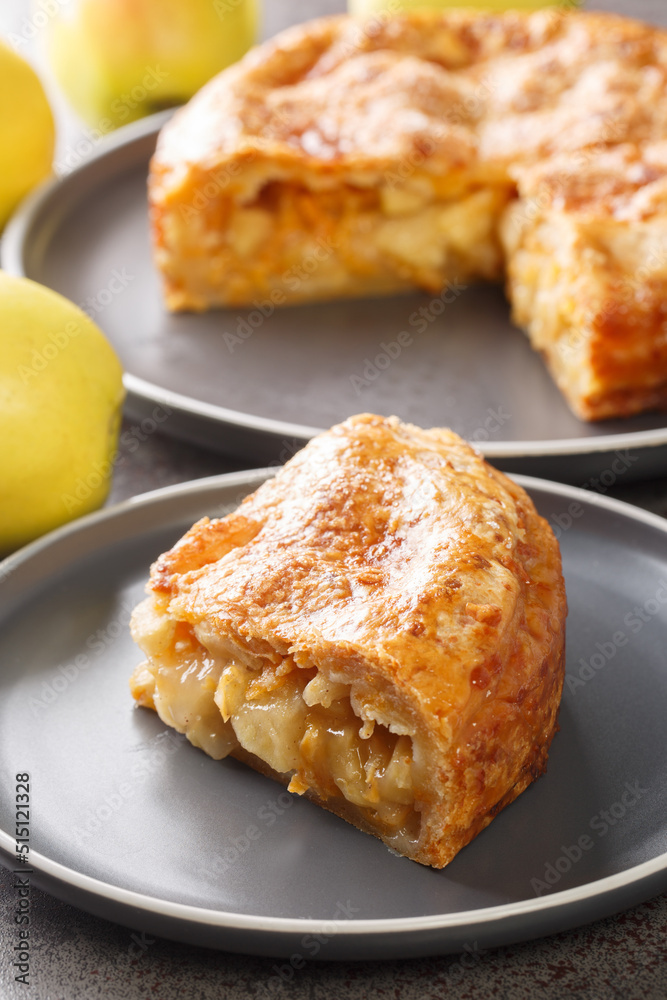 Piece of Apple Pie with Cheddar Cheese closeup in the plate on the table. Vertical Piece of Apple Pie with Cheddar Cheese closeup in the plate on the table. Vertical