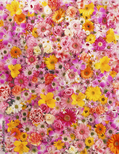 花びらのパターン © Gmail