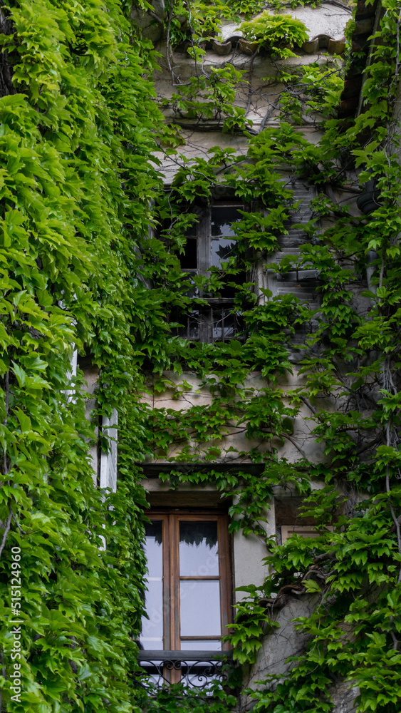 Abandoned old house with broken windows and overgrown with ivy. Abandoned old house with broken windows and overgrown with ivy.