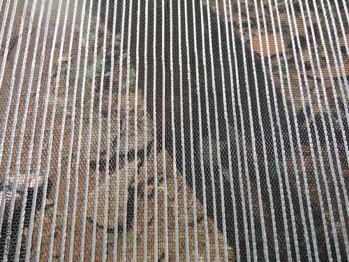 rice noodles production in traditional way and drying out at the sun in small vietnamesse village,Vietnam,Asia,noodle production,traditional,panorama,sun photo