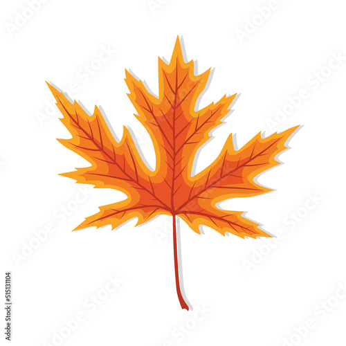 Leaf maple. Autumn leaves. Fall of orange leaf. Single red icon for september or october. Canadian tree. Yellow design decoration with texture for thanksgiving and beautiful season. Vector