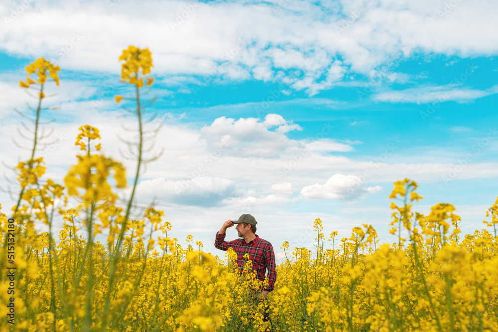 Confident and self-assured farm worker wearing red plaid shirt and trucker's hat standing in cultivated rapeseed field in bloom and looking over crops