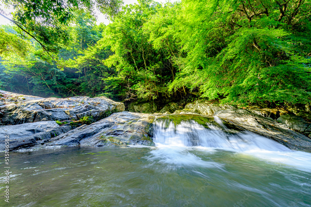 夏の観音の滝 清めの淵 佐賀県唐津市 Kannon Falls in summer. Kiyomenohuchi.Saga-ken Karatsu city. 夏の観音の滝 清めの淵 佐賀県唐津市 Kannon Falls in summer. Kiyomenohuchi.Saga-ken Karatsu city.