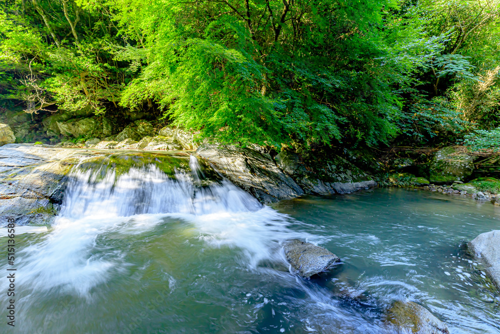 Fototapeta premium 夏の観音の滝 清めの淵 佐賀県唐津市 Kannon Falls in summer. Kiyomenohuchi.Saga-ken Karatsu city.
