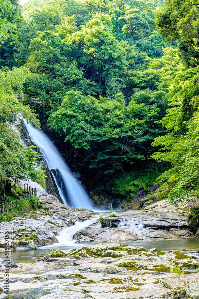 夏の観音の滝　佐賀県唐津市　Kannon Falls in summer. Saga-ken Karatsu city.