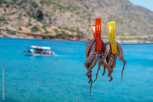 Fresh octopus drying, hanging on a rope near tavern by turquoise sea with touristic boat background. Village Plaka, Greek island Crete, Greece.