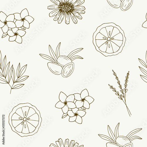 Line art essential oil plants and flowers seamless pattern