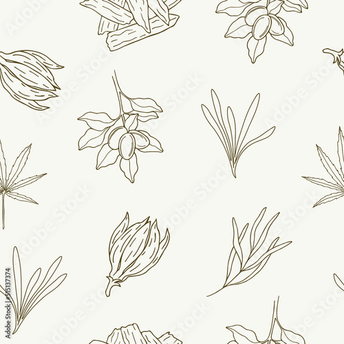 Sketch essential oil plants and flowers seamless pattern