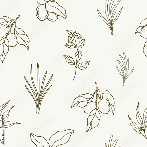 Hand drawn essential oil and cosmetic plants seamless pattern. Lemon, shea, eucalyptus, vetiver, mint, rosemary