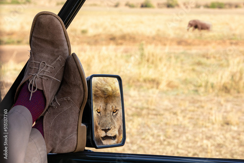 Принти на полотні Man relaxes and watches an elephant in the long grass of the Masai Mara, Kenya
