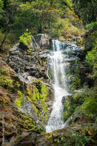 Water falls in the middle of a jungle